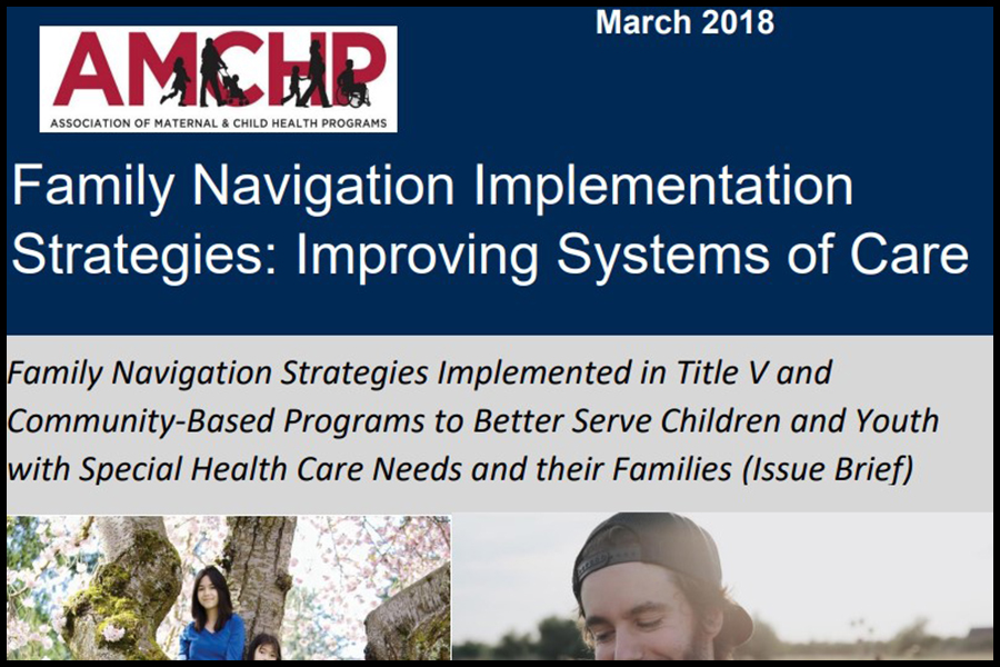 image of AMCHP issue brief